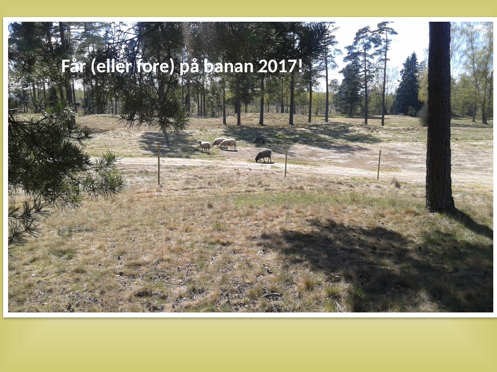 Lagans GK 60 år, bild 134